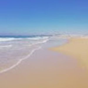 Meet your Posher, Clara